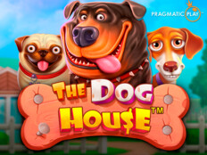 Red dog casino no deposit bonus codes 202317